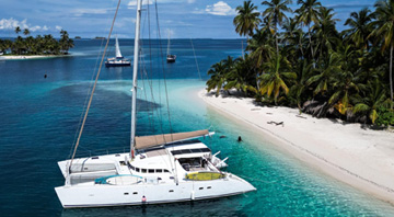 saona x saona x